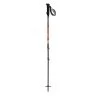 Bâtons TSL Tour Carbon 3 Light - Swing 1 Bâtons TSL Tour Carbon 3 Light - Swing -Activités De Plein Air batons tsl tour carbon 3 light swing