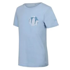 Regatta Bosley V T-shirt De Marche à Manches Courtes Pour Enfant - Bleu