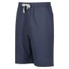 Regatta Etonbury Short De Marche Pour Homme -Activités De Plein Air etonbury short de marche pour homme