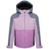 Dare 2b In The Lead III Veste De Randonnée Pour Enfant - Violet