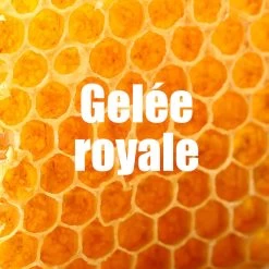 OVERSTIMS Coup De Fouet Citron - 4x30g -Activités De Plein Air overstims coup de fouet citron 4x30g 4