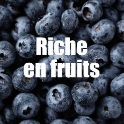 Pâtes De Fruits énergétiques Bio Myrtille - 4 X25g 11 Pâtes De Fruits énergétiques Bio Myrtille - 4 X25g -Activités De Plein Air pates de fruits energetiques bio myrtille 4 x25g 4