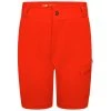 Dare 2b Reprise II Short De Randonnée Pour Enfant - Orange Moyen