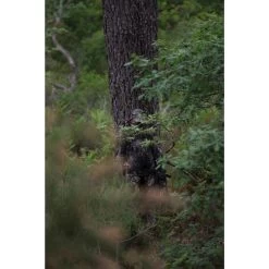 VESTE FEMME CHASSE SILENCIEUSE RESPIRANTE CAMOUFLAGE 500 17 VESTE FEMME CHASSE SILENCIEUSE RESPIRANTE CAMOUFLAGE 500 -Activités De Plein Air veste femme chasse silencieuse respirante camouflage 500 5