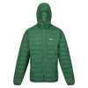 Regatta Veste HILLPACK Homme (Vert) -Activités De Plein Air veste hillpack homme vert
