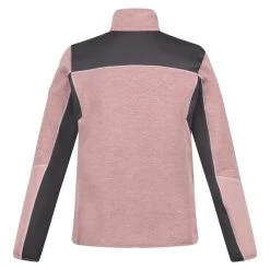 Regatta Veste Polaire LINDALLA Femme (Mauve Clair / Gris Phoque) -Activités De Plein Air veste polaire lindalla femme mauve clair gris phoque 1