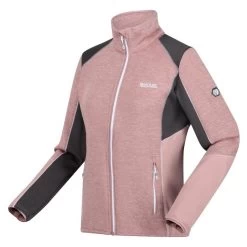 Regatta Veste Polaire LINDALLA Femme (Mauve Clair / Gris Phoque) -Activités De Plein Air veste polaire lindalla femme mauve clair gris phoque 3